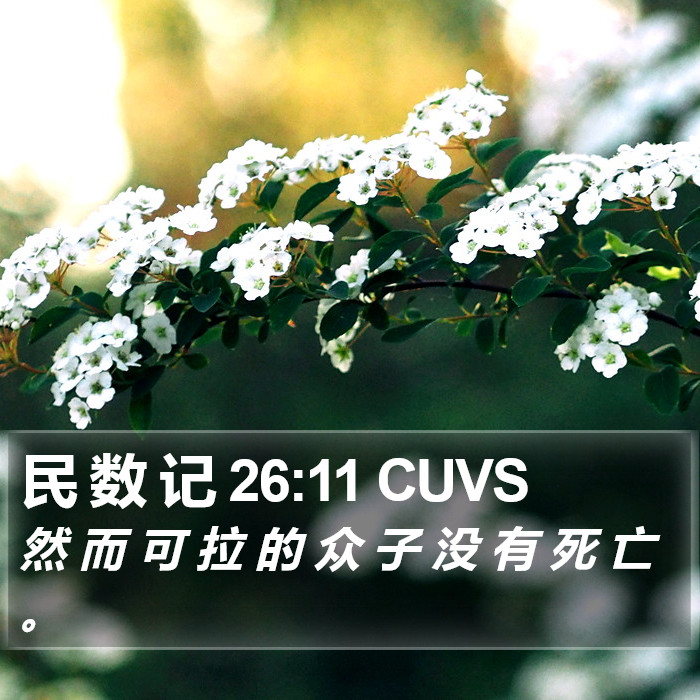 民 数 记 26:11 CUVS Bible Study