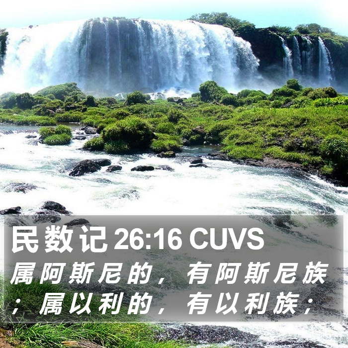 民 数 记 26:16 CUVS Bible Study