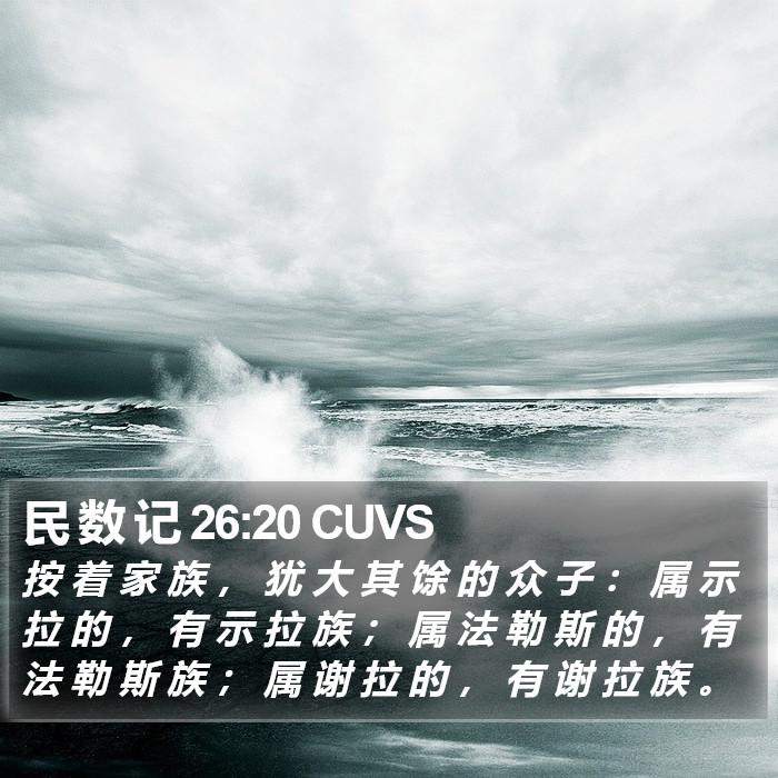 民 数 记 26:20 CUVS Bible Study