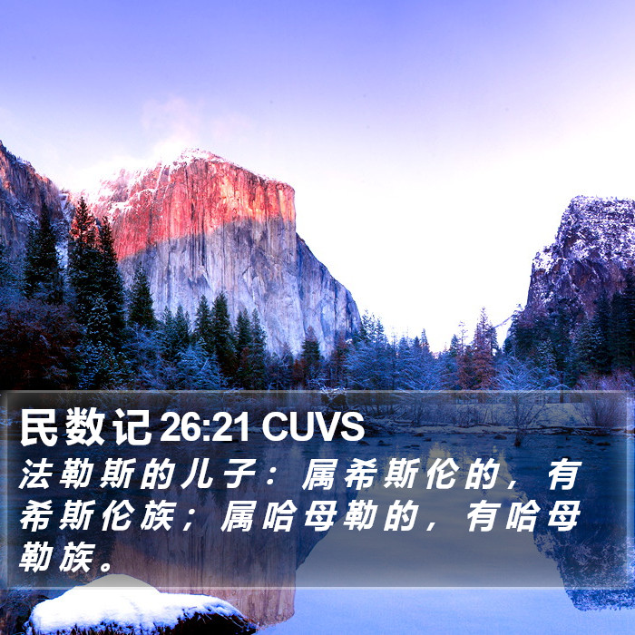 民 数 记 26:21 CUVS Bible Study