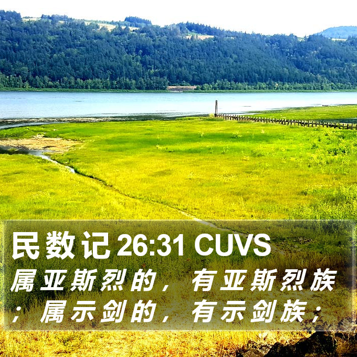 民 数 记 26:31 CUVS Bible Study