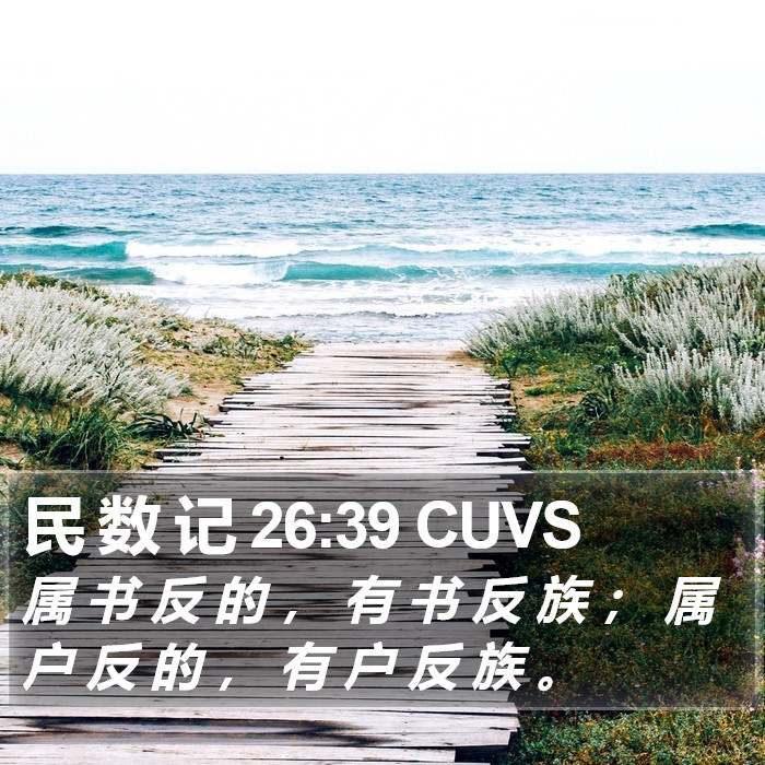 民 数 记 26:39 CUVS Bible Study