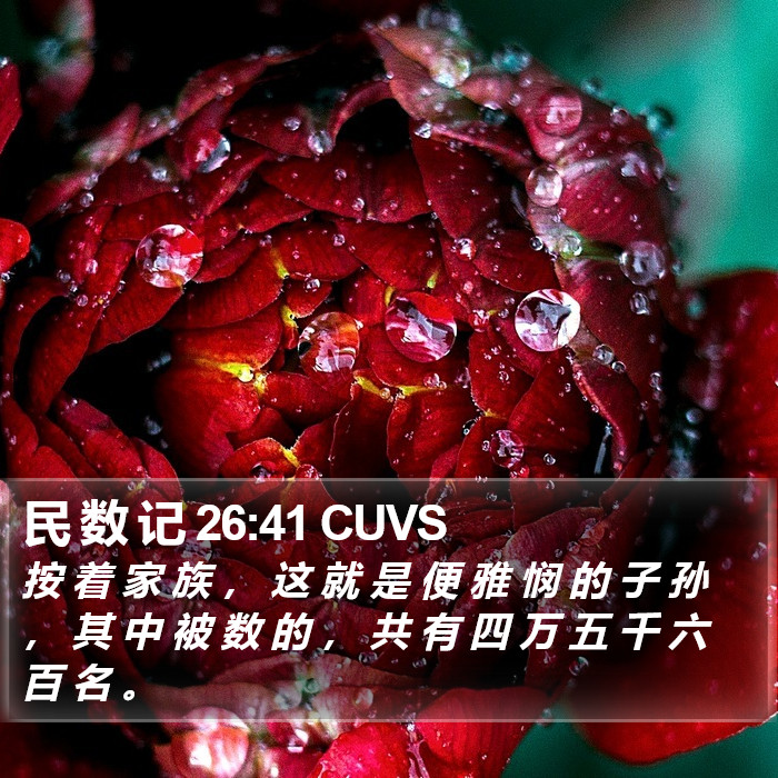 民 数 记 26:41 CUVS Bible Study