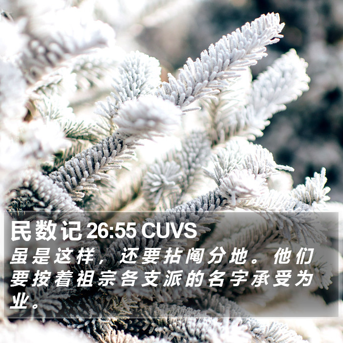 民 数 记 26:55 CUVS Bible Study