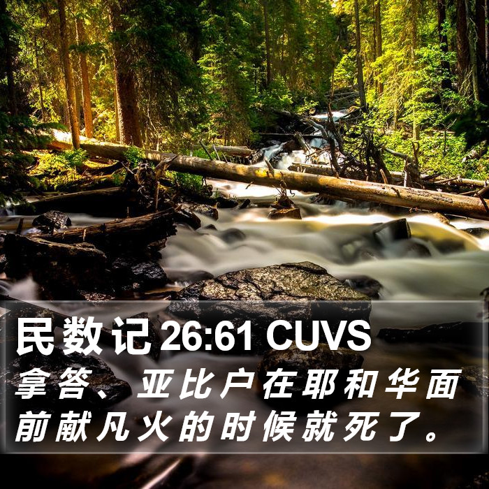 民 数 记 26:61 CUVS Bible Study