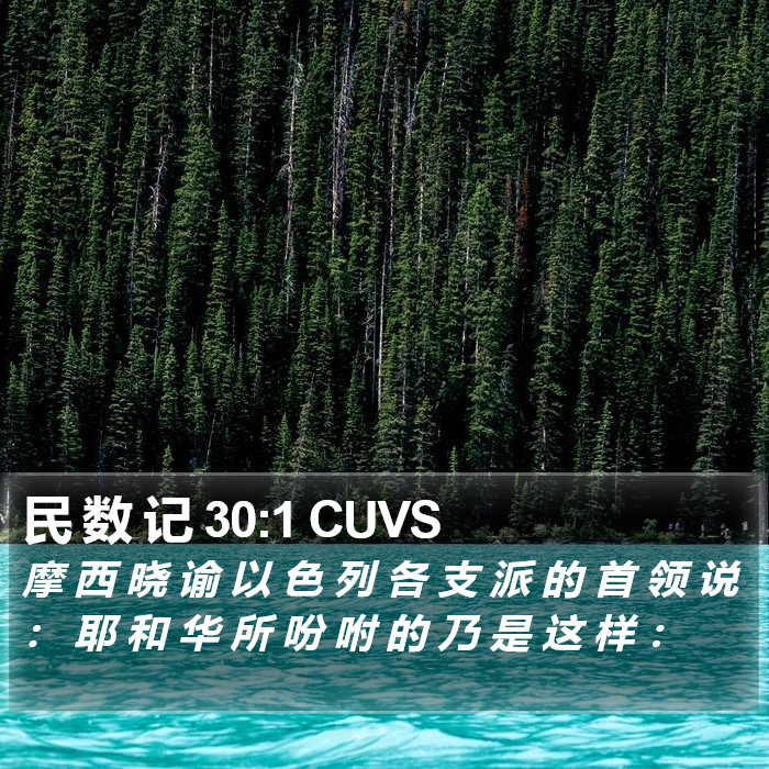 民 数 记 30:1 CUVS Bible Study