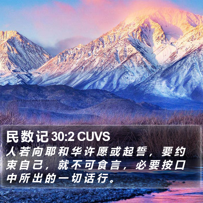 民 数 记 30:2 CUVS Bible Study