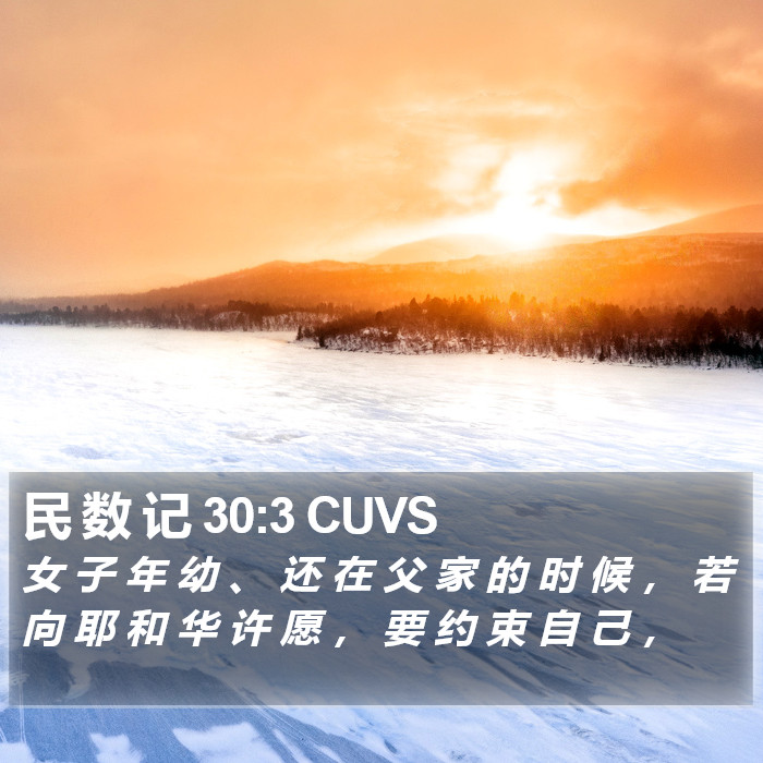 民 数 记 30:3 CUVS Bible Study