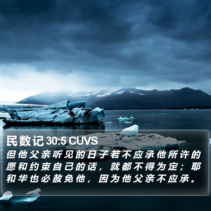 民 数 记 30:5 CUVS Bible Study