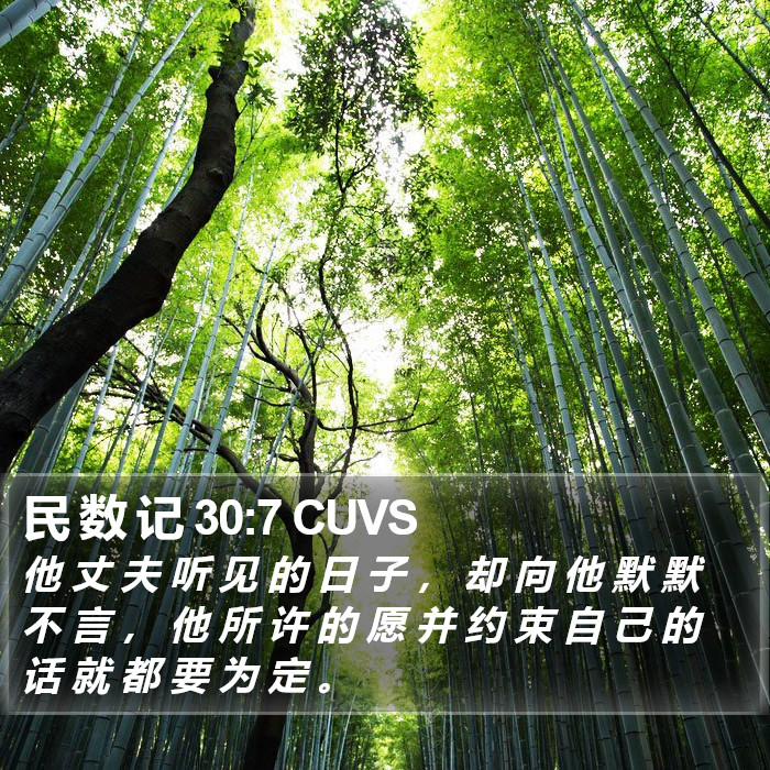 民 数 记 30:7 CUVS Bible Study