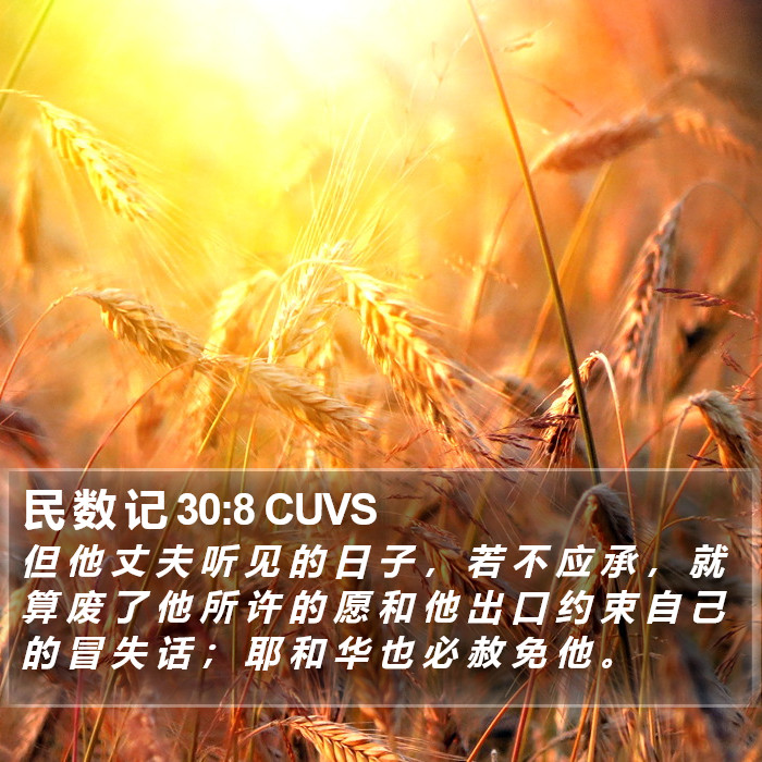 民 数 记 30:8 CUVS Bible Study