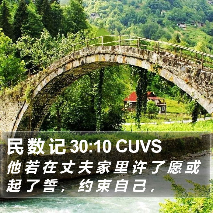民 数 记 30:10 CUVS Bible Study
