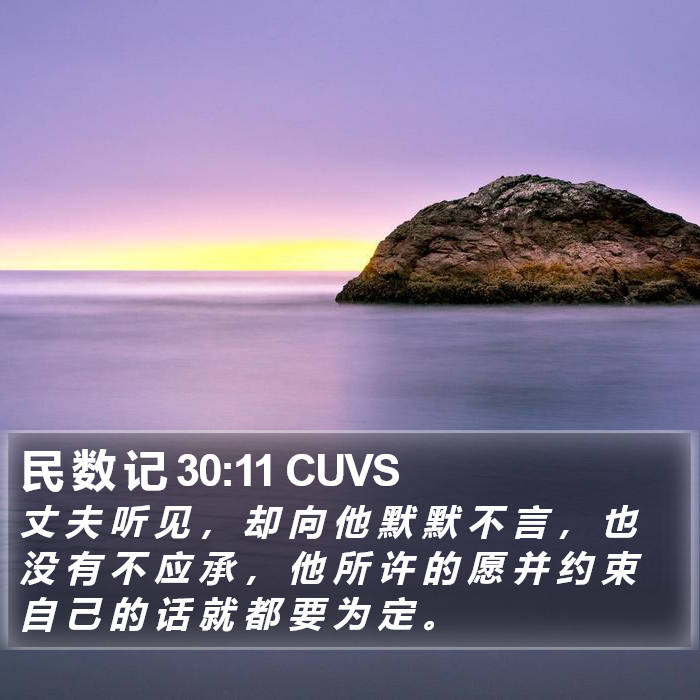 民 数 记 30:11 CUVS Bible Study