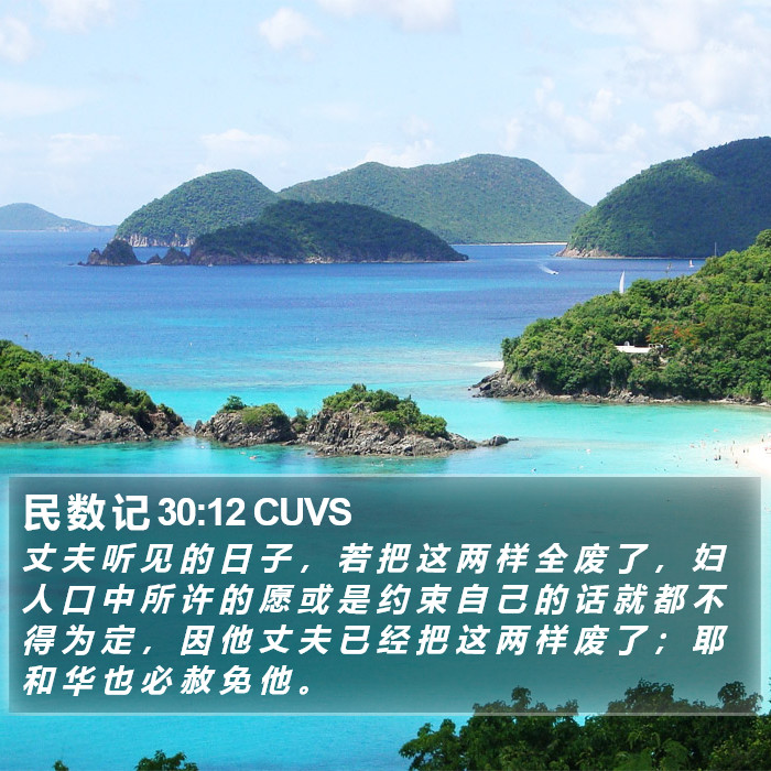 民 数 记 30:12 CUVS Bible Study