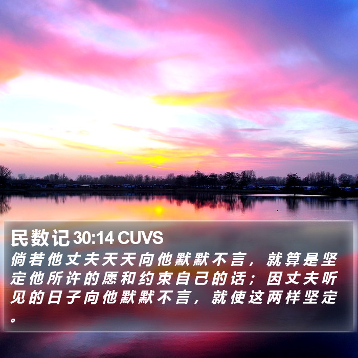 民 数 记 30:14 CUVS Bible Study