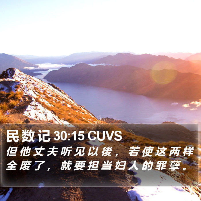 民 数 记 30:15 CUVS Bible Study