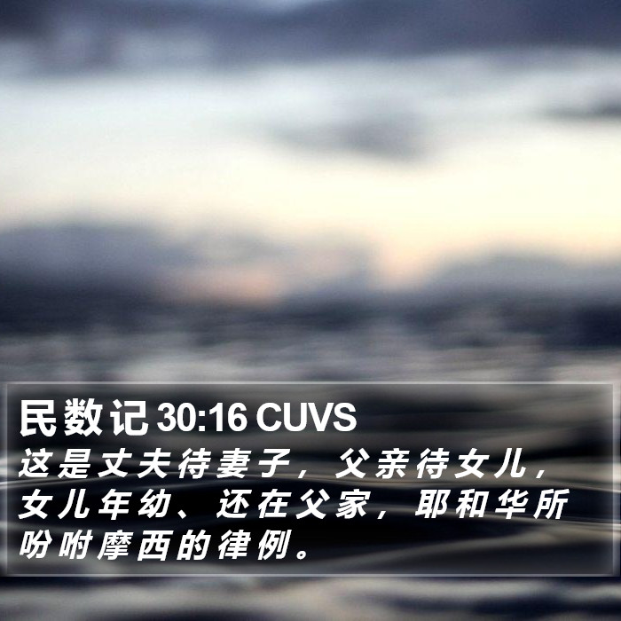 民 数 记 30:16 CUVS Bible Study