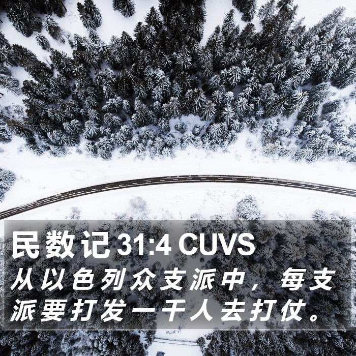 民 数 记 31:4 CUVS Bible Study