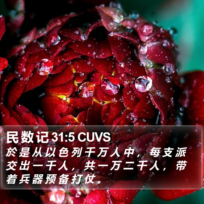 民 数 记 31:5 CUVS Bible Study