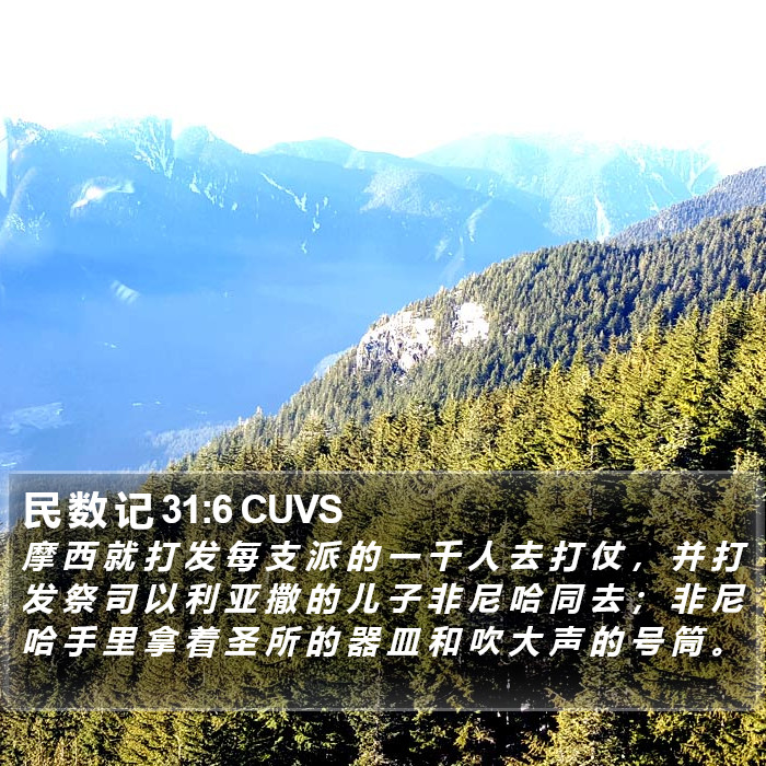 民 数 记 31:6 CUVS Bible Study