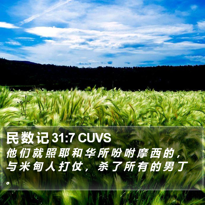 民 数 记 31:7 CUVS Bible Study