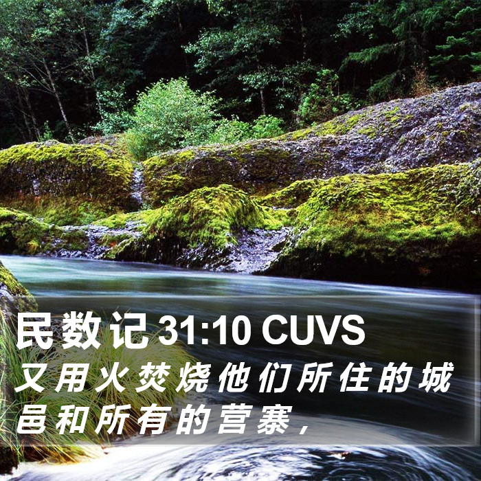 民 数 记 31:10 CUVS Bible Study