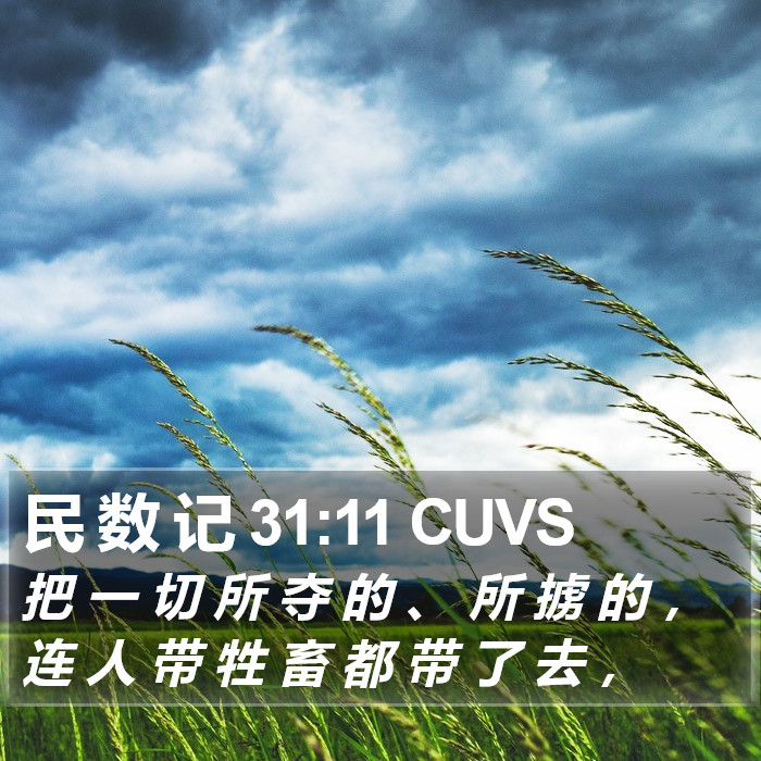 民 数 记 31:11 CUVS Bible Study