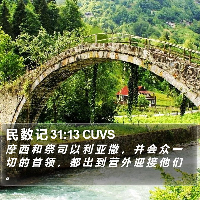 民 数 记 31:13 CUVS Bible Study