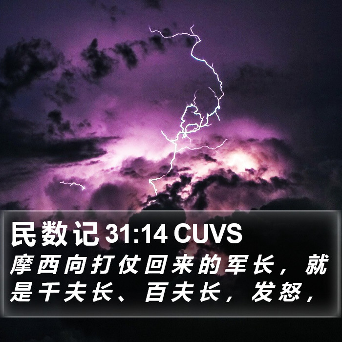 民 数 记 31:14 CUVS Bible Study