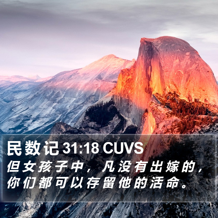 民 数 记 31:18 CUVS Bible Study