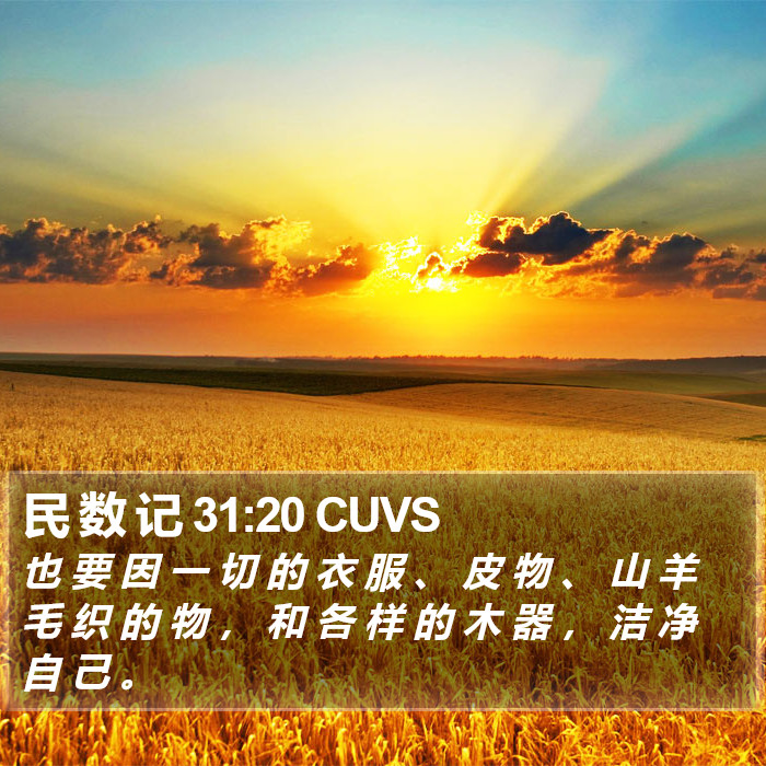 民 数 记 31:20 CUVS Bible Study