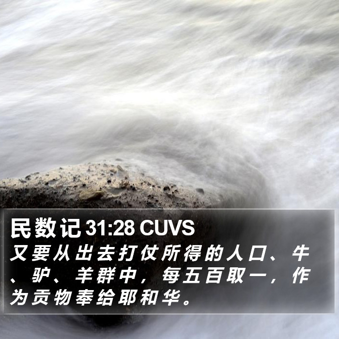 民 数 记 31:28 CUVS Bible Study