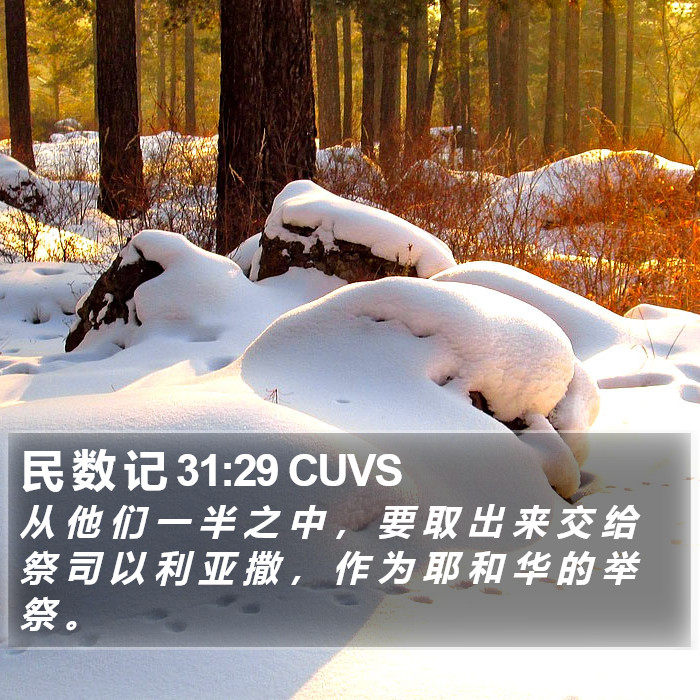 民 数 记 31:29 CUVS Bible Study