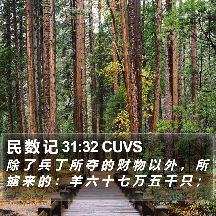 民 数 记 31:32 CUVS Bible Study