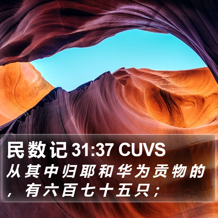 民 数 记 31:37 CUVS Bible Study