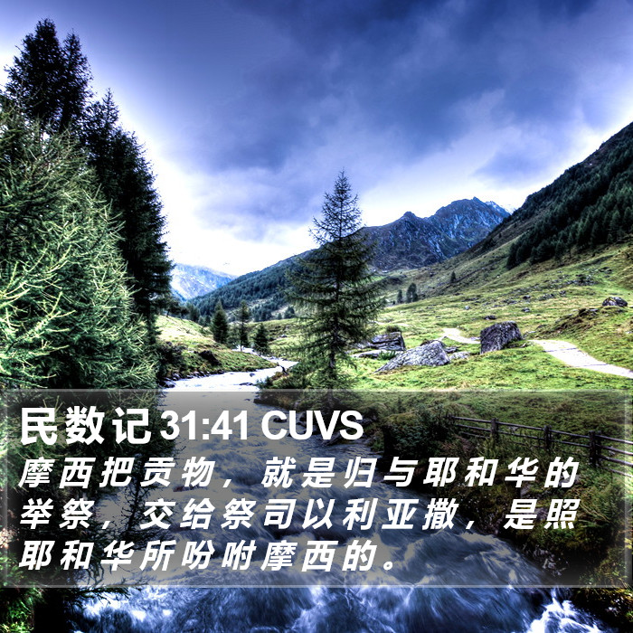 民 数 记 31:41 CUVS Bible Study