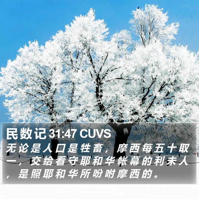 民 数 记 31:47 CUVS Bible Study