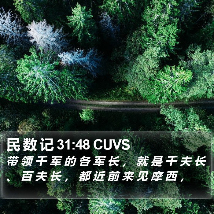 民 数 记 31:48 CUVS Bible Study