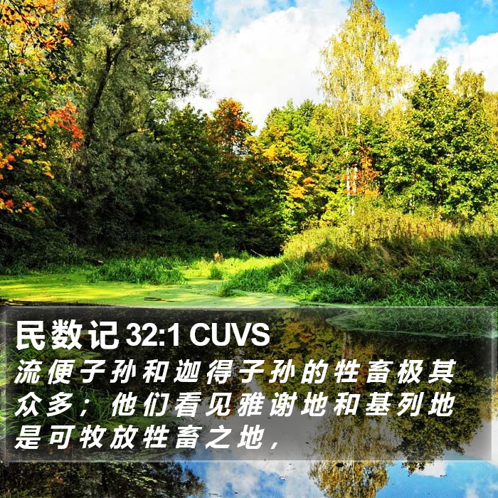 民 数 记 32:1 CUVS Bible Study