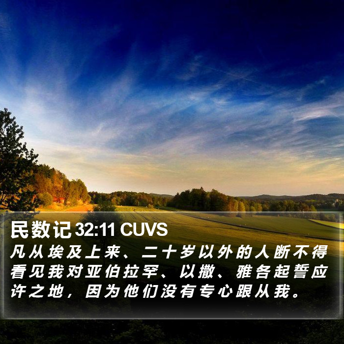 民 数 记 32:11 CUVS Bible Study