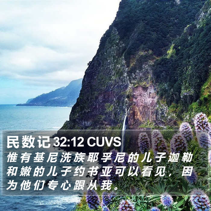 民 数 记 32:12 CUVS Bible Study