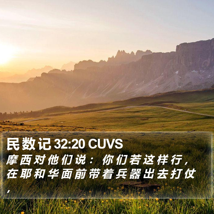 民 数 记 32:20 CUVS Bible Study