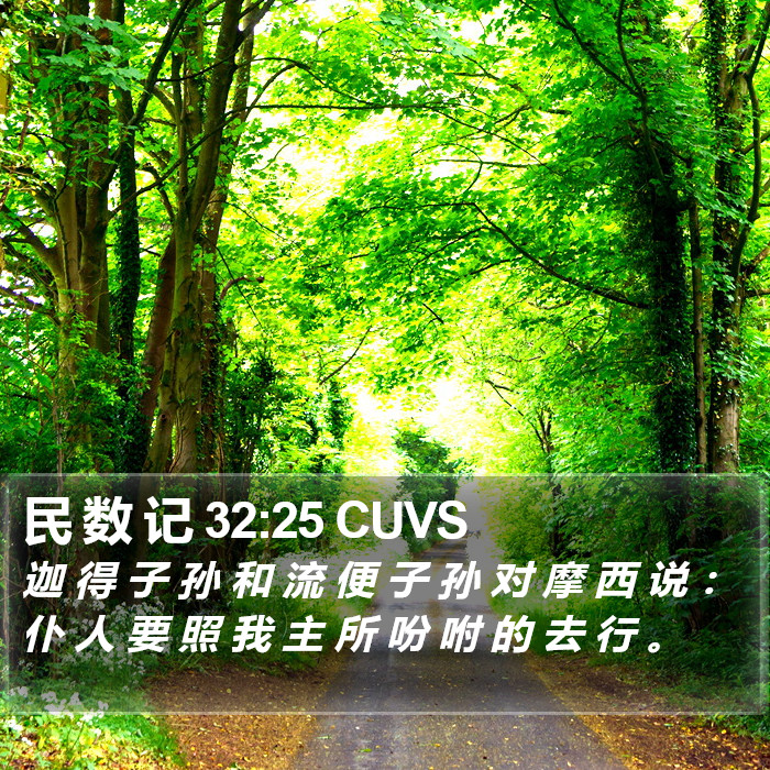 民 数 记 32:25 CUVS Bible Study
