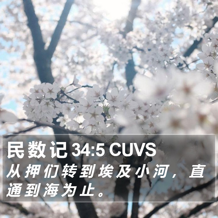 民 数 记 34:5 CUVS Bible Study