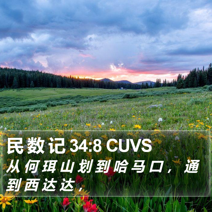 民 数 记 34:8 CUVS Bible Study