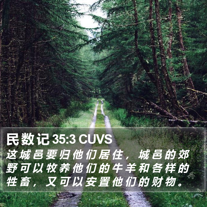 民 数 记 35:3 CUVS Bible Study