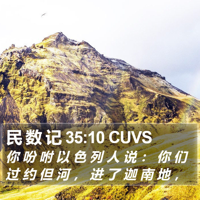 民 数 记 35:10 CUVS Bible Study