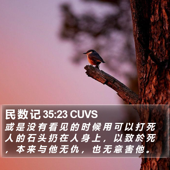 民 数 记 35:23 CUVS Bible Study
