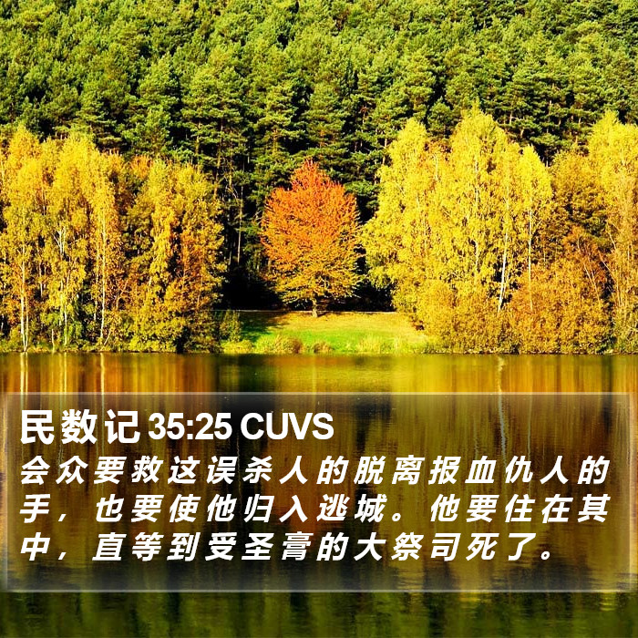 民 数 记 35:25 CUVS Bible Study