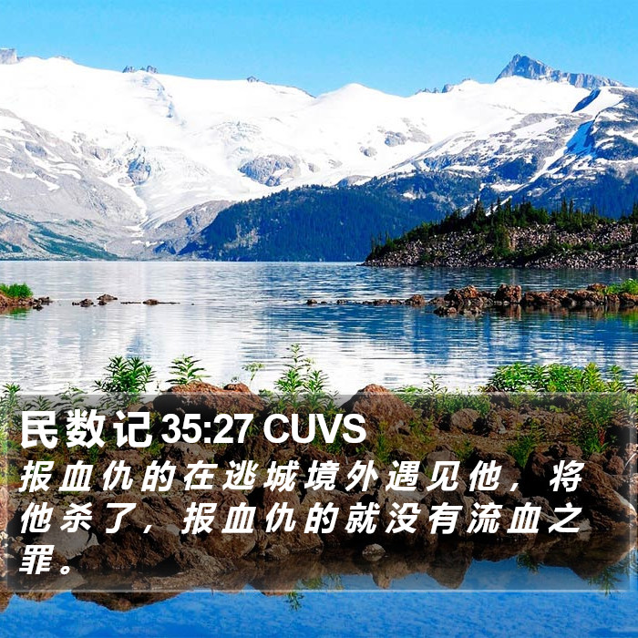 民 数 记 35:27 CUVS Bible Study